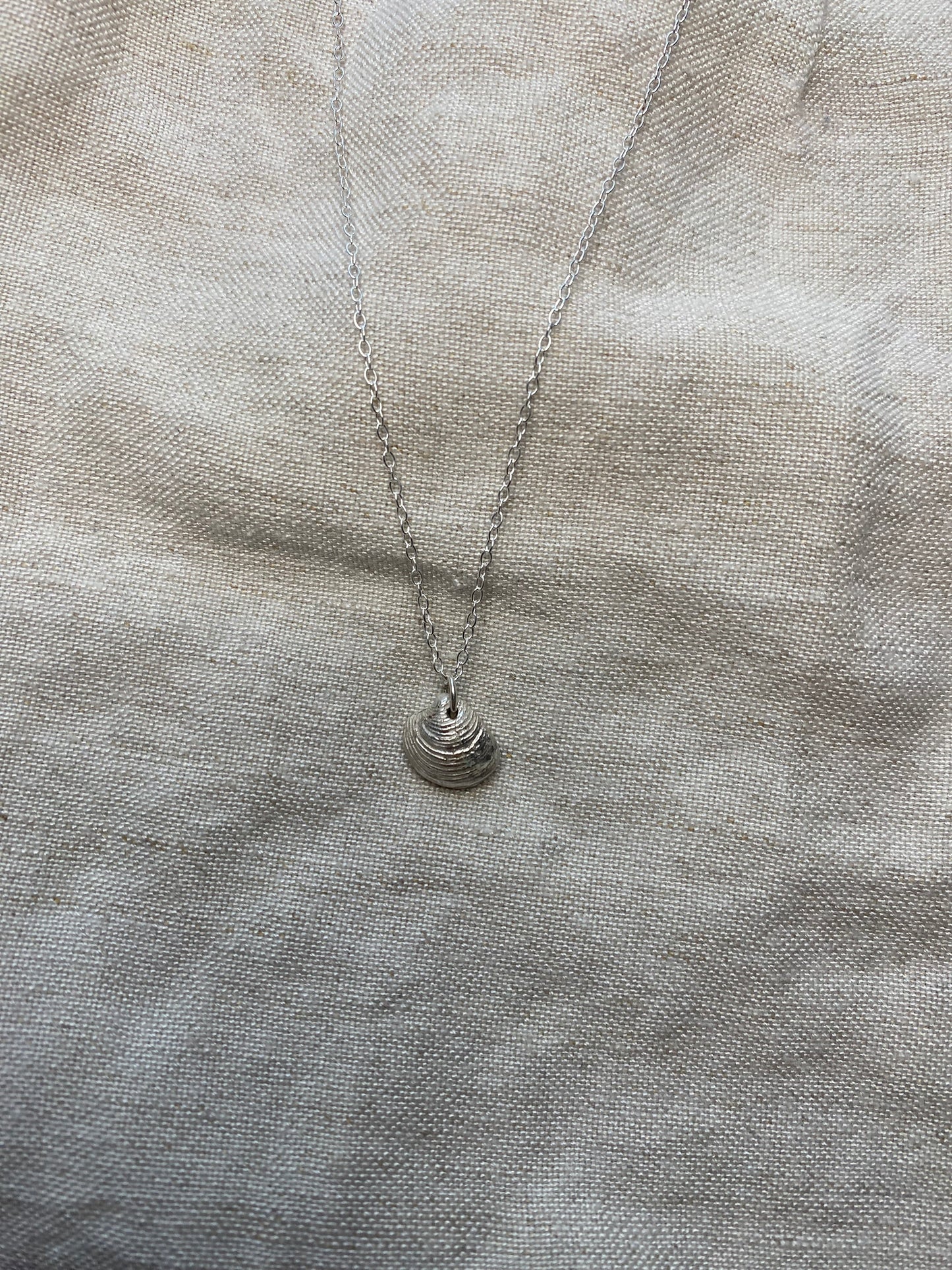 Silver Shell Necklace