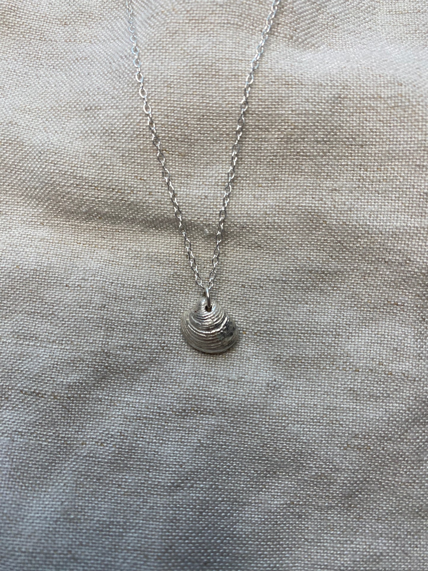 Silver Shell Necklace